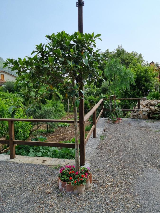Il Ruscello Maratea Exterior foto
