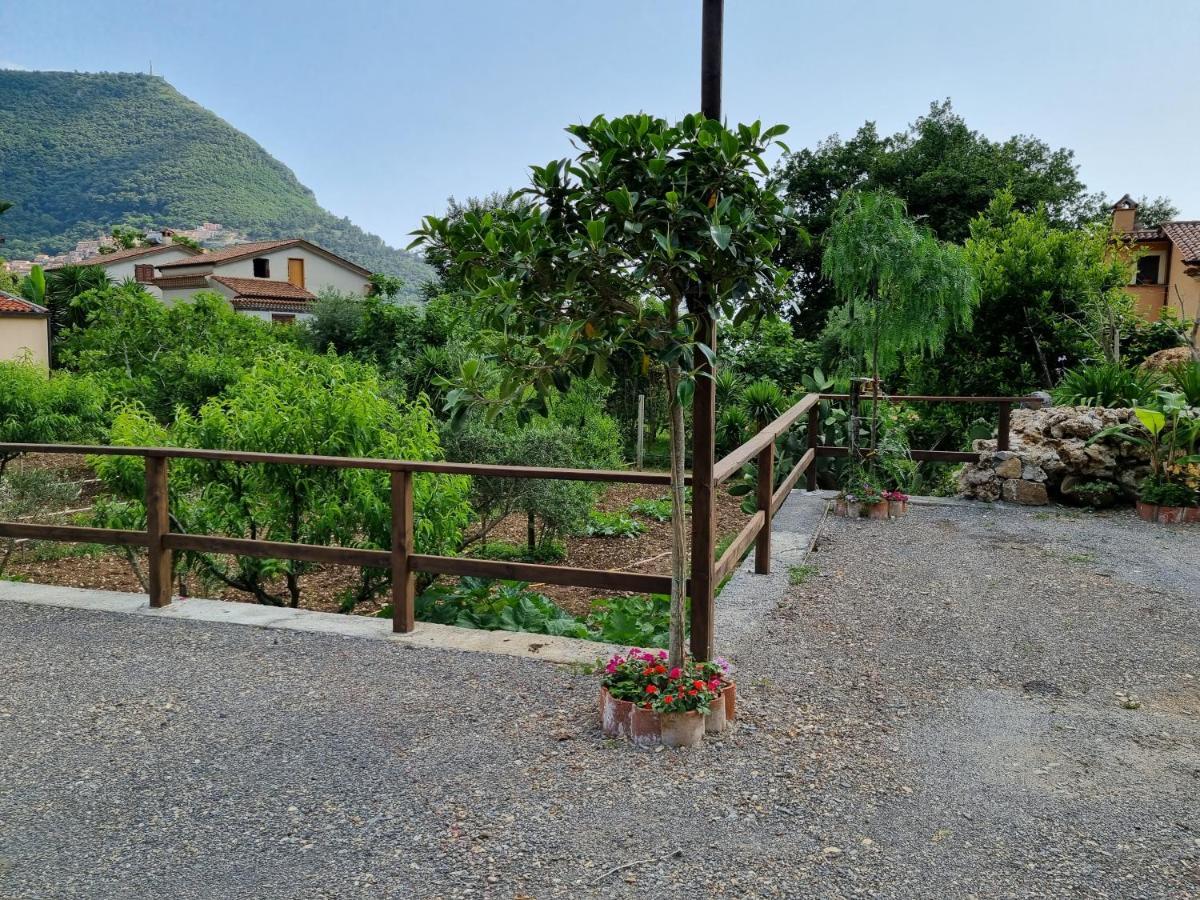 Il Ruscello Maratea Exterior foto