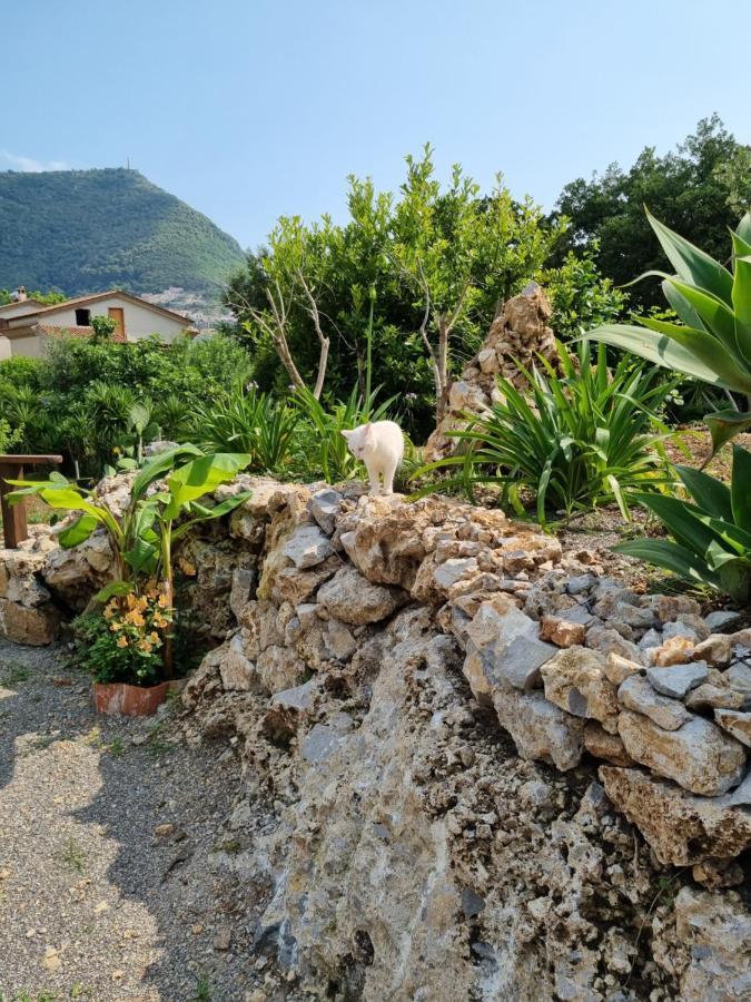 Il Ruscello Maratea Exterior foto