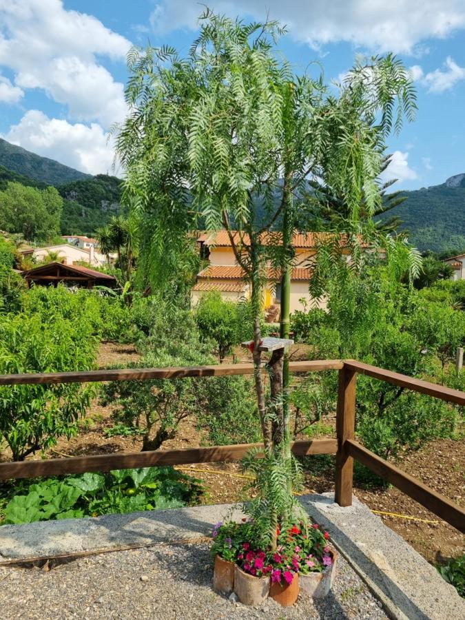 Il Ruscello Maratea Exterior foto